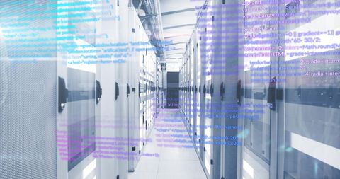 Digital Data Processing in Modern Server Room with Networking Overlay - Download Free Stock Images Pikwizard.com