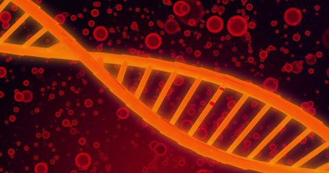 Vibrant dna strand on red blood cells background