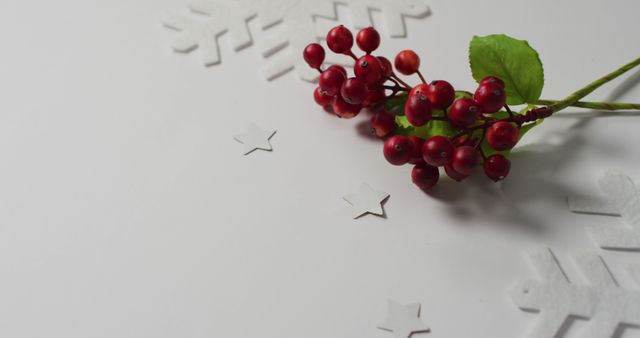 Image of christmas sprig with red berries, snowflake patterns and copy space on white background. christmas, tradition and celebration concept.