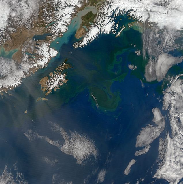 Increasing solar illumination brings increased phytoplankton growth to the Gulf of Alaska every spring, and this year is no exception. This image was collected on May 9, 2014 during a single orbit of Aqua-MODIS.   High res: <a href="http://oceancolor.gsfc.nasa.gov/FEATURE/IMAGES/A2014129224500.GulfOfAlaska.half.jpg" rel="nofollow">oceancolor.gsfc.nasa.gov/FEATURE/IMAGES/A2014129224500.Gu...</a>  Credit: NASA/Goddard/OceanColor/MODIS  <b><a href="http://www.nasa.gov/audience/formedia/features/MP_Photo_Guidelines.html" rel="nofollow">NASA image use policy.</a></b>  <b><a href="http://www.nasa.gov/centers/goddard/home/index.html" rel="nofollow">NASA Goddard Space Flight Center</a></b> enables NASA’s mission through four scientific endeavors: Earth Science, Heliophysics, Solar System Exploration, and Astrophysics. Goddard plays a leading role in NASA’s accomplishments by contributing compelling scientific knowledge to advance the Agency’s mission.  <b>Follow us on <a href="http://twitter.com/NASAGoddardPix" rel="nofollow">Twitter</a></b>  <b>Like us on <a href="http://www.facebook.com/pages/Greenbelt-MD/NASA-Goddard/395013845897?ref=tsd" rel="nofollow">Facebook</a></b>  <b>Find us on <a href="http://instagram.com/nasagoddard?vm=grid" rel="nofollow">Instagram</a></b>