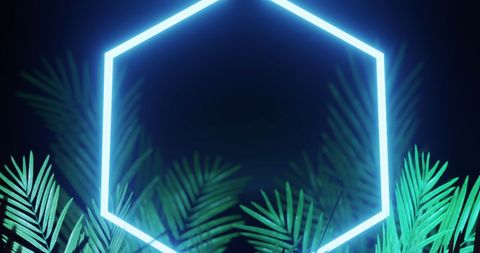 Leaves with Blue Neon Hexagon on Black Background