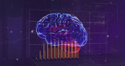 Holographic brain illustrating futuristic data interface