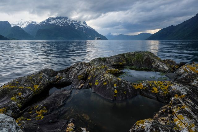 A serene fjord in Norway with calm water reflecting snow-capped mountains in the distance. Rocky shores with patches of yellow and green moss add texture to the foreground. Overcast sky enhances the tranquil atmosphere. Ideal for use in travel brochures, outdoor adventure promotions, scenic prints, and nature calendars.
