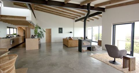 Contemporary Open-Plan Living Room with Natural Decor Elements