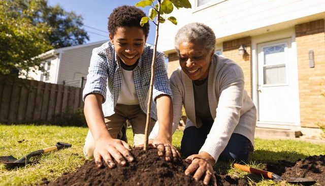 Grandmother and grandson planting young tree in backyard, gardening together for greener future