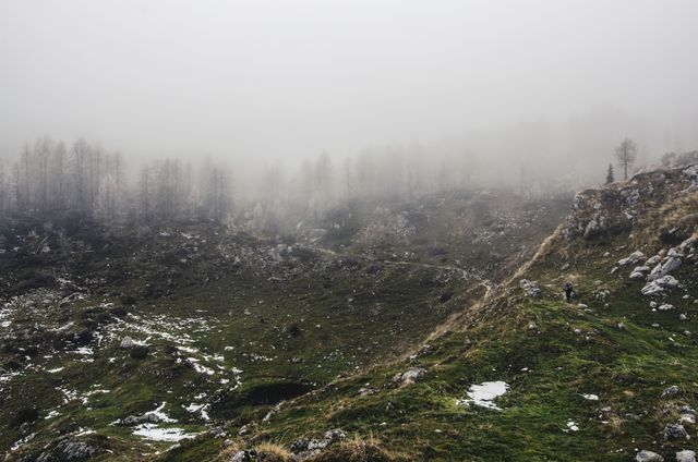 Misty Mountain Landscape with Hazy Forest and Rocks - Download Free Stock Images Pikwizard.com