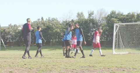 Youth soccer players celebrating near goalpost on worn grass field showing teamwork