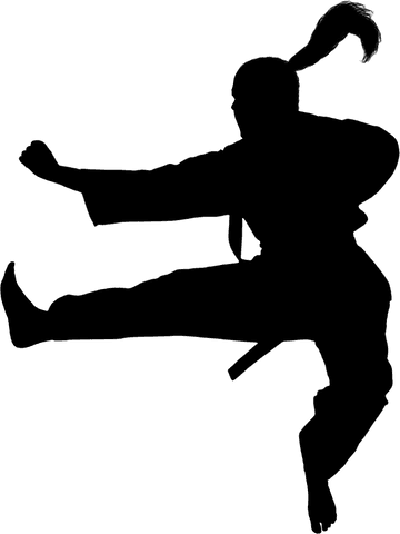 Martial Artist Silhouette Performing Dynamic Jump on Transparent Background - Download Free Stock Videos Pikwizard.com