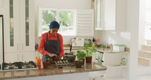 Image of biracial woman in hijab planting herbs in kitchen. Lifestyle, houseplants and spending free time at home concept.