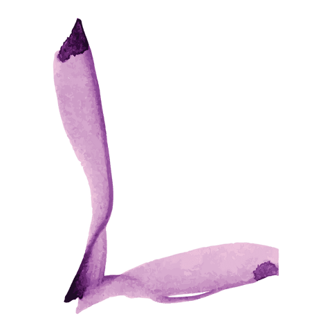 abstract purple brush stroke on transparent background - Download Free Stock Videos Pikwizard.com
