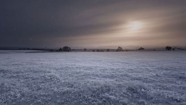 Moonlit hoarfrost field under starry sky with frosted grasses and bare trees