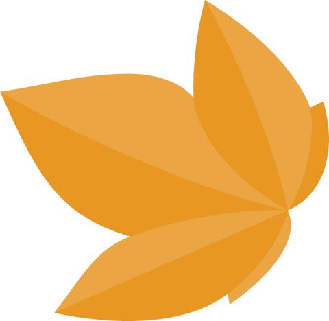 Abstract geometric orange petal cluster on transparent background