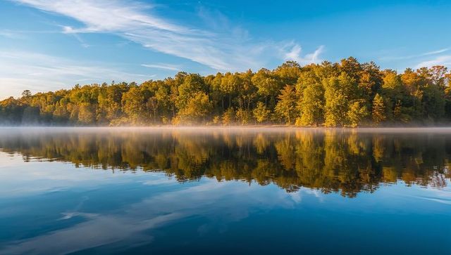 Calm Morning Mist Over Autumn Lakeshore Reflecting Green to Golden Trees on Glassy Water