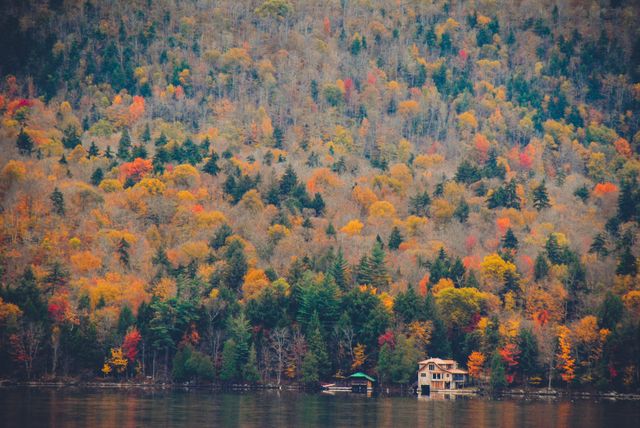 Scenic Lakefront Cabin with Vibrant Fall Foliage - Download Free Stock Photos Pikwizard.com