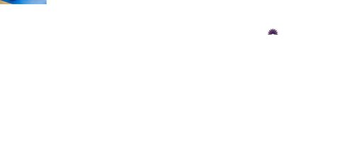 Diverse women practicing yoga in a studio setting with natural lighting