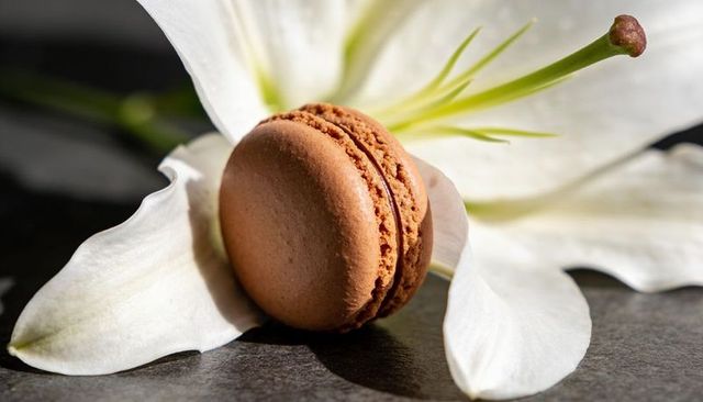 Brown macaron resting on white lily petals on slate surface, closeup dessert studio still life