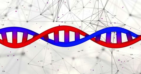 Digital Representation of DNA Strands with Network Background - Download Free Stock Images Pikwizard.com