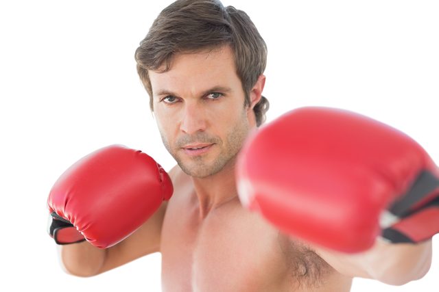 Focused Caucasian Boxer with Red Boxing Gloves Transparent Background - Download Free Stock Videos Pikwizard.com