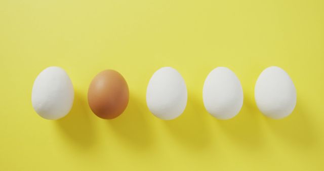 Single Brown Egg Among White Eggs on Yellow Background - Download Free Stock Images Pikwizard.com