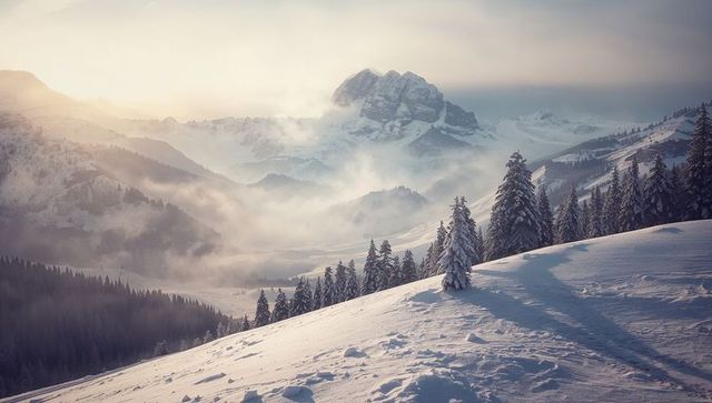Snowy alpine ridge at dawn with lone pine casting long shadow over misty valley panorama