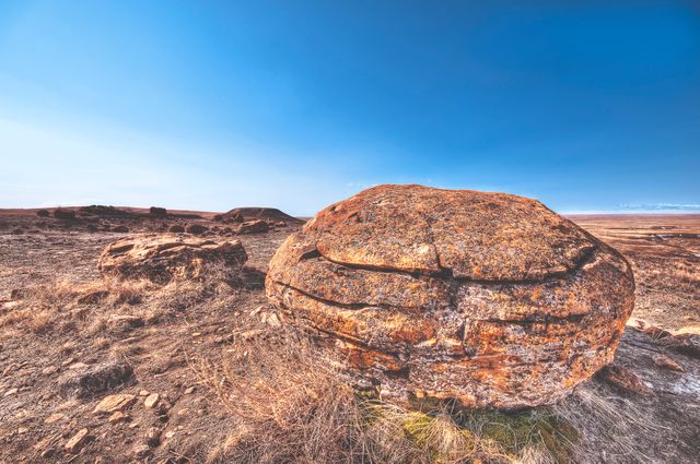 Image shows giant orbicular sandstone boulders situated in a dry grassland under a clear blue sky. Ideal for use in geology studies, nature photography collections, and educational materials on natural rock formations and landscapes.