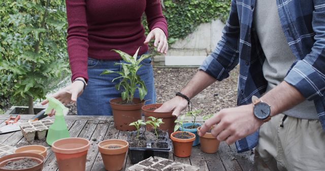 Midsection of diverse couple planting seeds in garden. Relationship, togetherness, gardening, hobbies, lifestyle and nature.