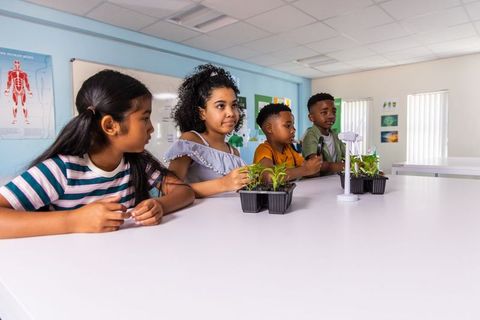 Elementary students collaborating on seedlings and mini wind turbine experiment in science lab