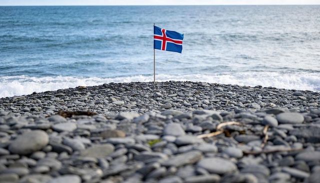 Icelandic flag billowing on pebble beach by north atlantic waves for travel and patriotism
