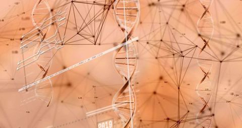 Visualizing dna double helix network mapping genomic data flow, timeline and analytics