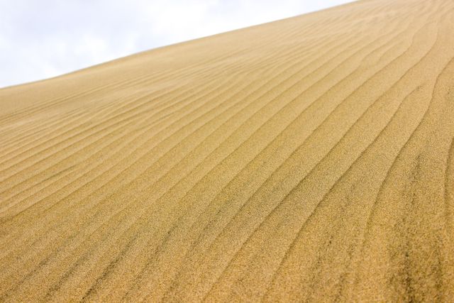 Wind-Sculpted Dune Patterns in Golden Desert Sands - Download Free Stock Photos Pikwizard.com