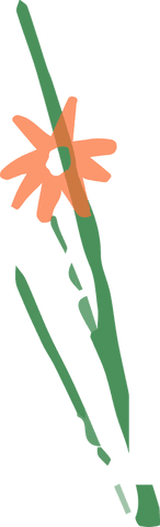floating orange flower with green stem on transparent background - Download Free Stock Videos Pikwizard.com