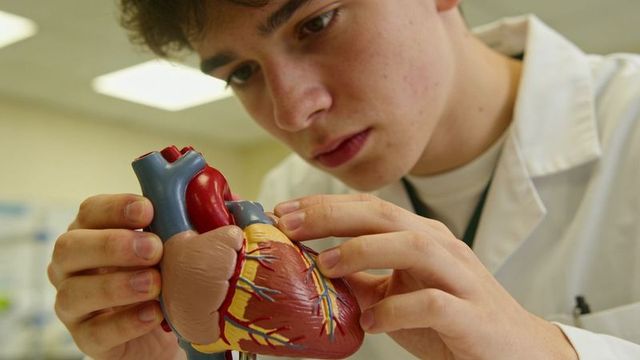 Teen student studying anatomical heart model in science classroom