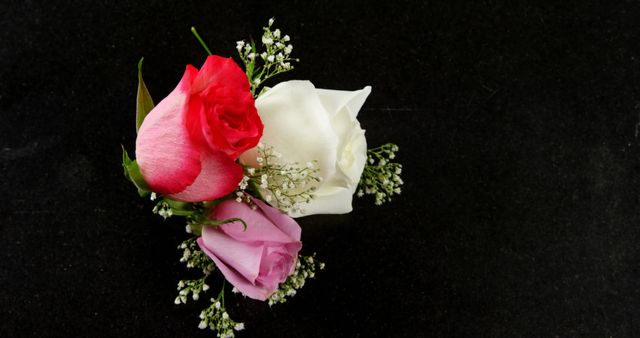 Boutonniere featuring red, white, and pink roses decorated with baby's breath on black background. Ideal for weddings, proms, and formal events. Use in floral arrangements, jewelry making, event decor, and design projects for an elegant touch.