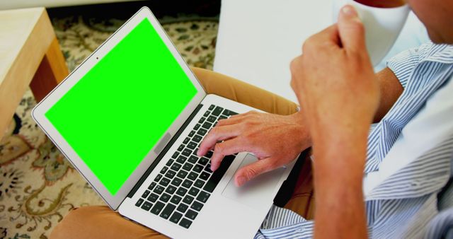 Man Working on Laptop with Green Screen - Download Free Stock Images Pikwizard.com