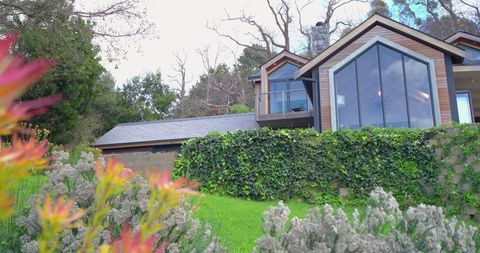 Modern wood-clad hillside home with floor-to-ceiling windows, ivy wall and lush garden