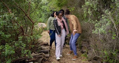 Diverse friends walking single-file on narrow wood-chip trail through shaded woodland