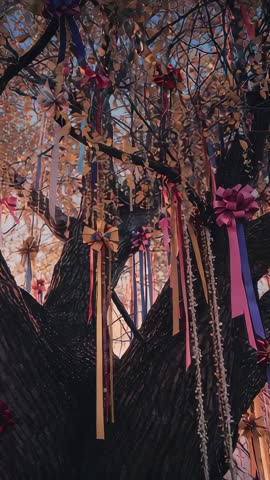Vertical video showing ribbons and bows swaying on tree branches in golden late-afternoon light