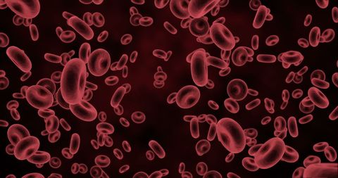 Microscopic view of red blood cells floating in dark background