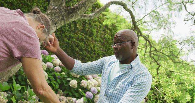 Senior man in garden bandaging injured woman's forehead - Download Free Stock Images Pikwizard.com