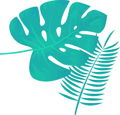 Vibrant tropical leaves on transparent background flat illustration