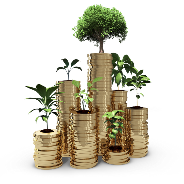 Financial Growth Concept Showing Plants Growing on Stacks of Coins, Transparent Background - Download Free Stock Videos Pikwizard.com