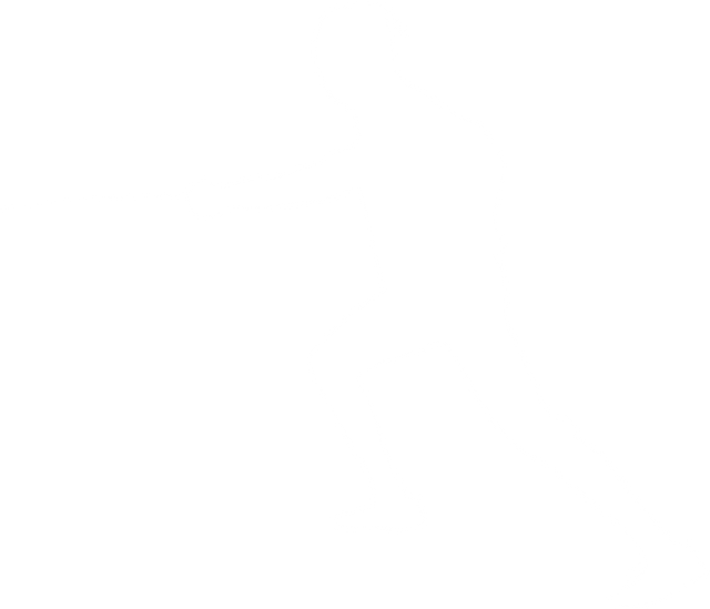 Silhouette of Swordsman Fighting on Transparent Background - Download Free Stock Videos Pikwizard.com