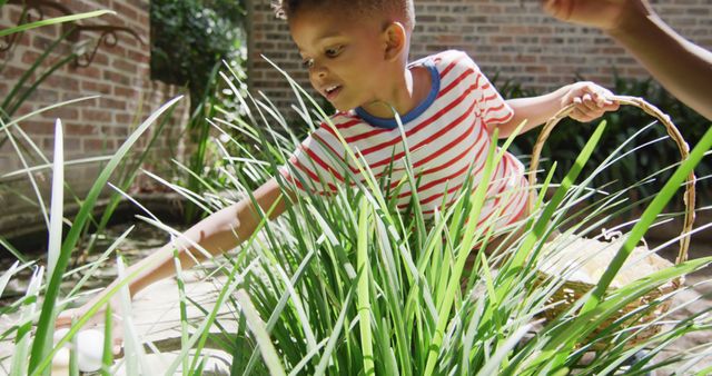 Young Boy Collecting Easter Eggs Outdoor in a Garden - Download Free Stock Images Pikwizard.com