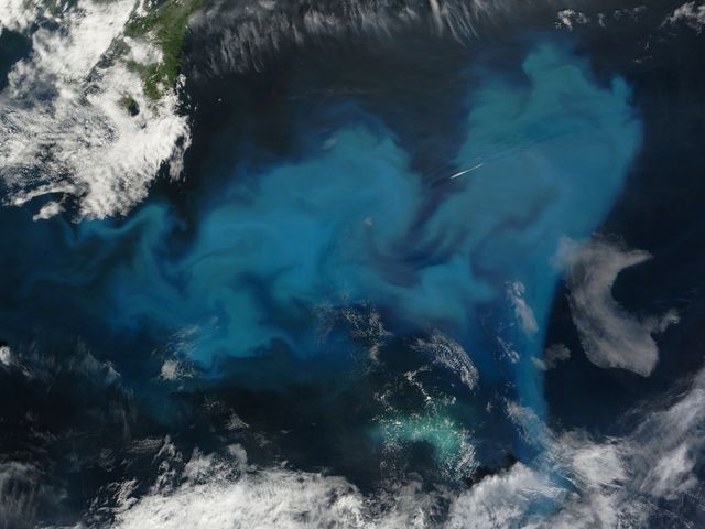 This image captures a large phytoplankton bloom in the North Atlantic Ocean off the coast of Newfoundland in early August 2010. Taken by the MODIS instrument on NASA’s Terra satellite, the swirling, paisley pattern of vibrant peacock blue signifies the abundance of these microscopic organisms. Phytoplankton blooms are critical to studying marine ecology, climate change, and ocean health, making this image a valuable resource for educational materials, environmental research publications, and presentations on marine biology and satellite technology.