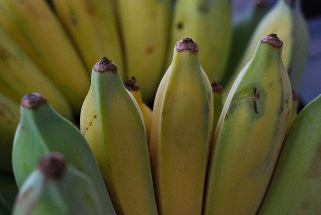 Close-Up of Bananas Ripening with Green and Yellow Skins - Download Free Stock Photos Pikwizard.com