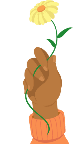 Hand Holding Yellow Daisy Against Transparent Background