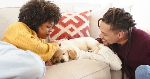 Couple cuddling sleeping golden retriever puppy on cozy sofa with warm daylight and geometric pillow