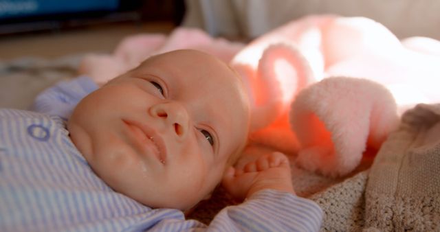 Newborn Baby Relaxing on Soft Pink Blanket - Download Free Stock Images Pikwizard.com