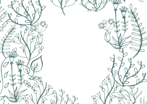 elegant botanical wreath with twigs and leaves on transparent background - Download Free Stock Videos Pikwizard.com