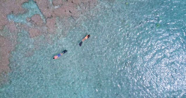 Two Snorkelers Exploring Coral Reef in Clear Blue Water - Download Free Stock Images Pikwizard.com